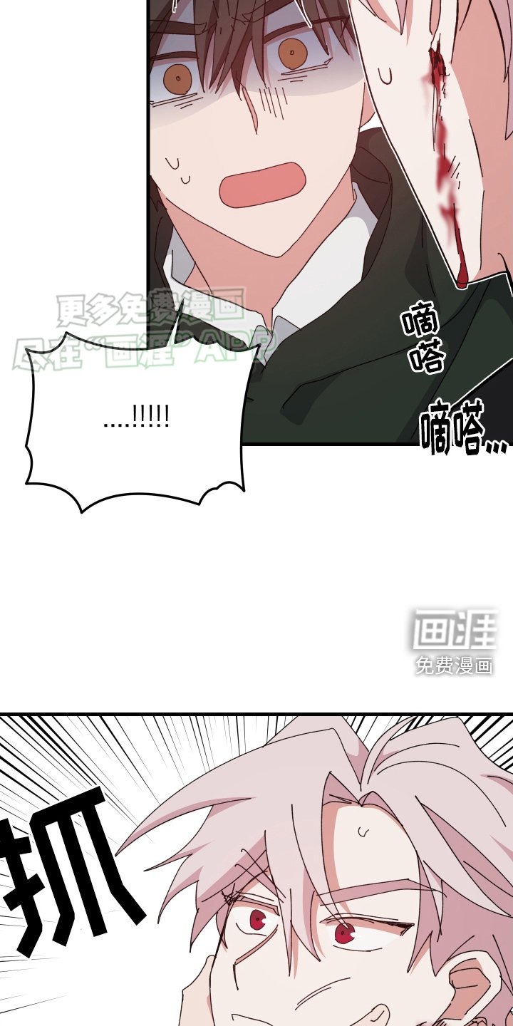 第91章：重要