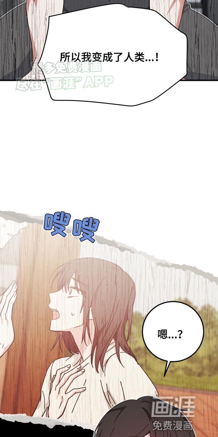 第97章：告诉我怎么回事