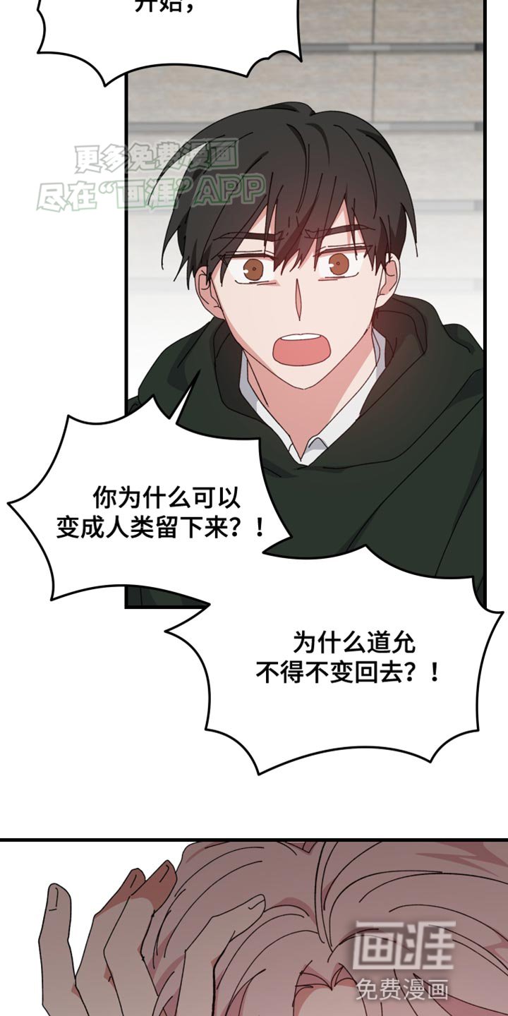 第97章：告诉我怎么回事