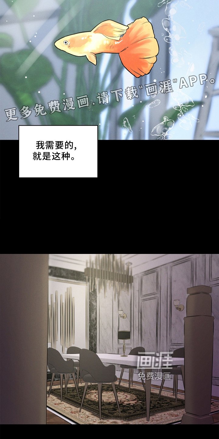 第26章：该做的