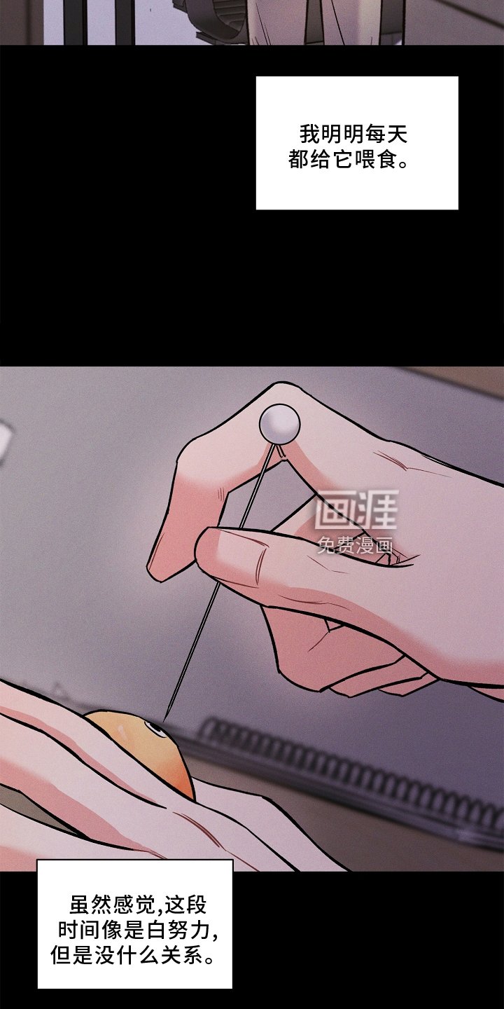 第26章：该做的