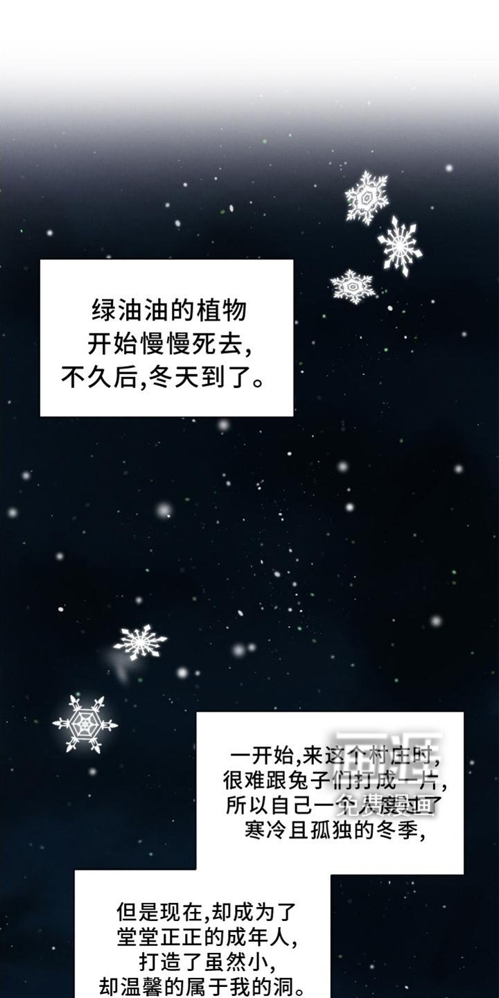 第33章：兔子【特别篇】