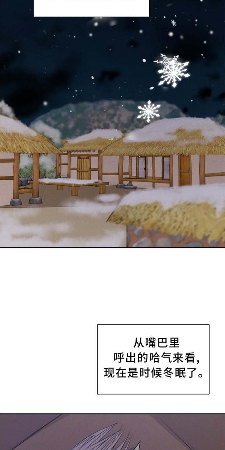 第33章：兔子【特别篇】