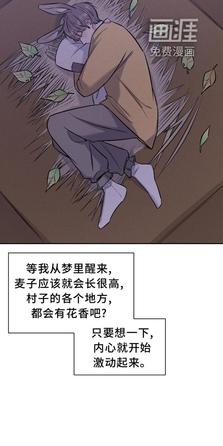 第33章：兔子【特别篇】