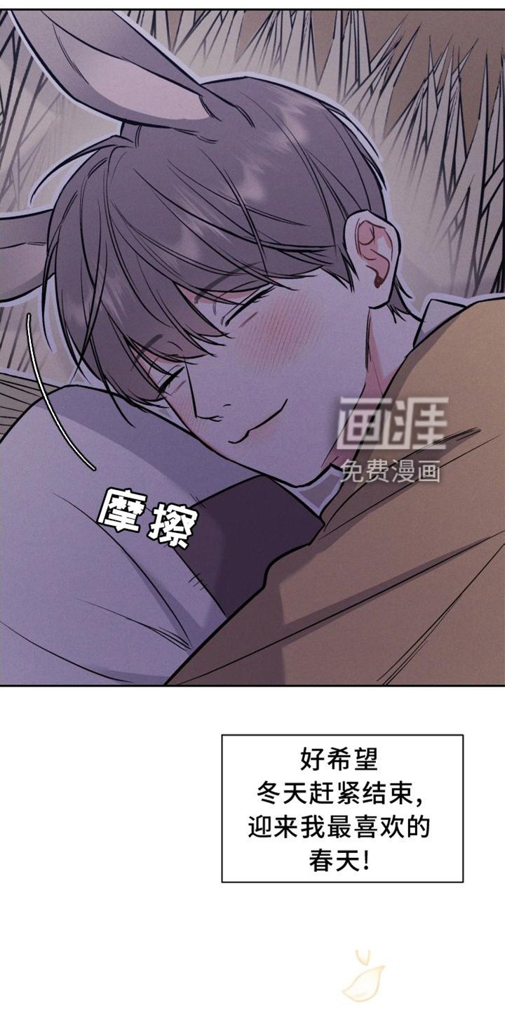第33章：兔子【特别篇】