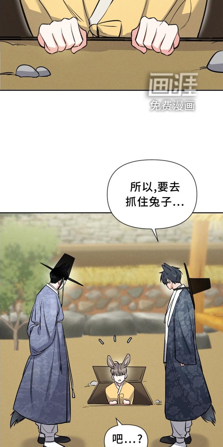 第33章：兔子【特别篇】