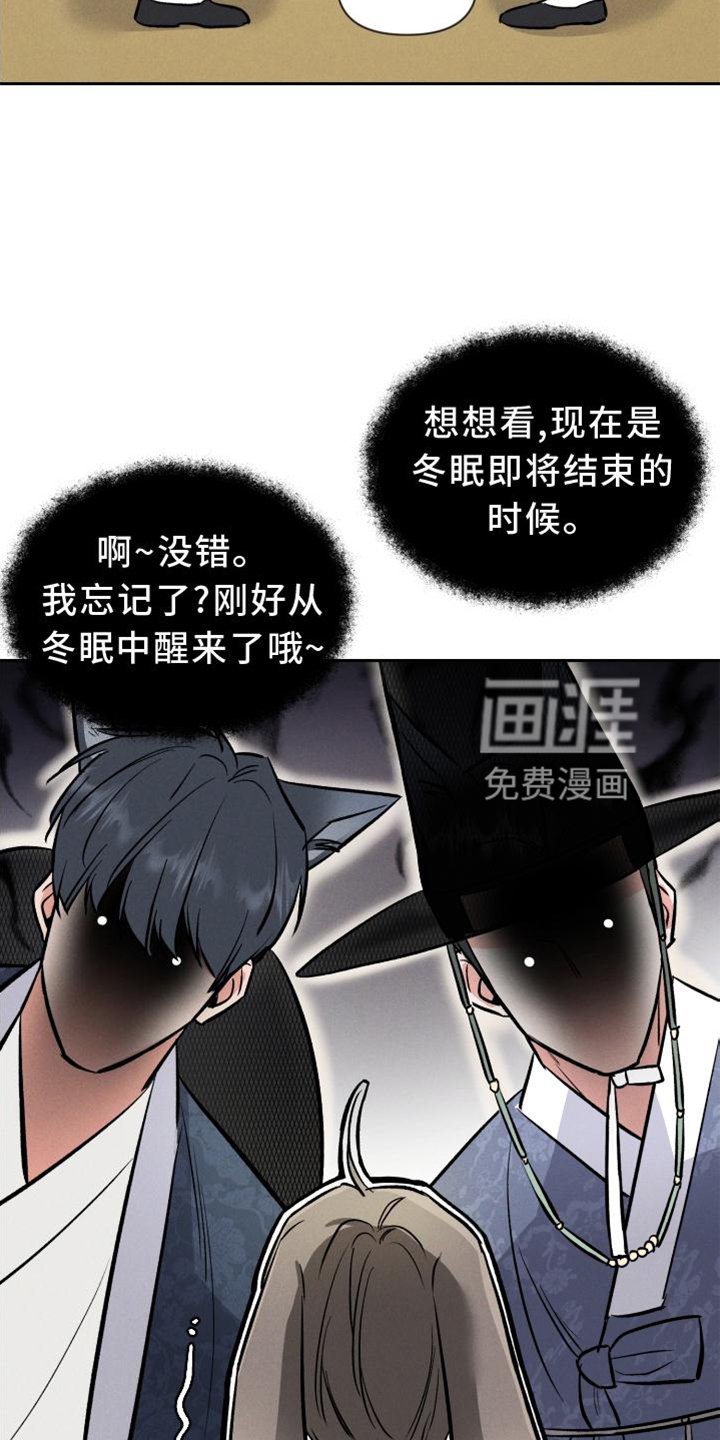 第33章：兔子【特别篇】