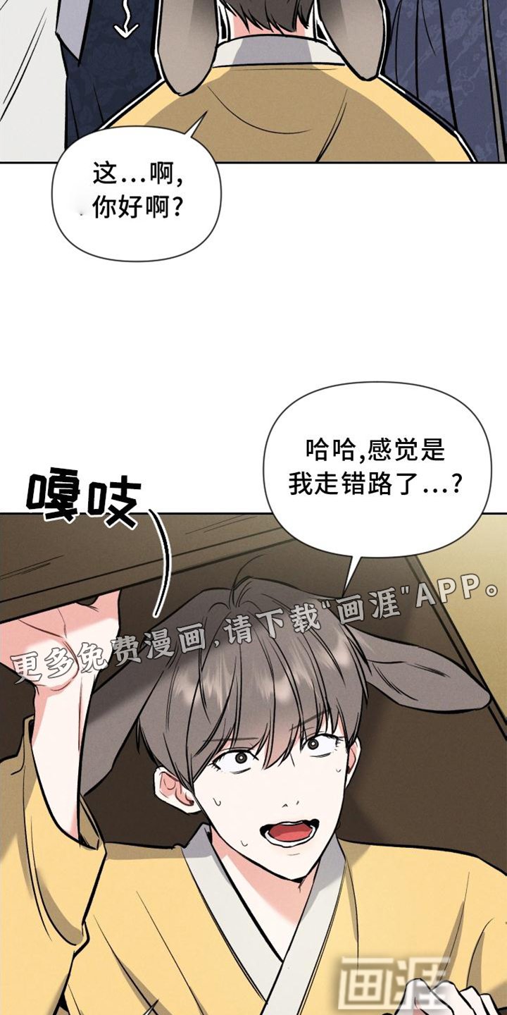 第33章：兔子【特别篇】