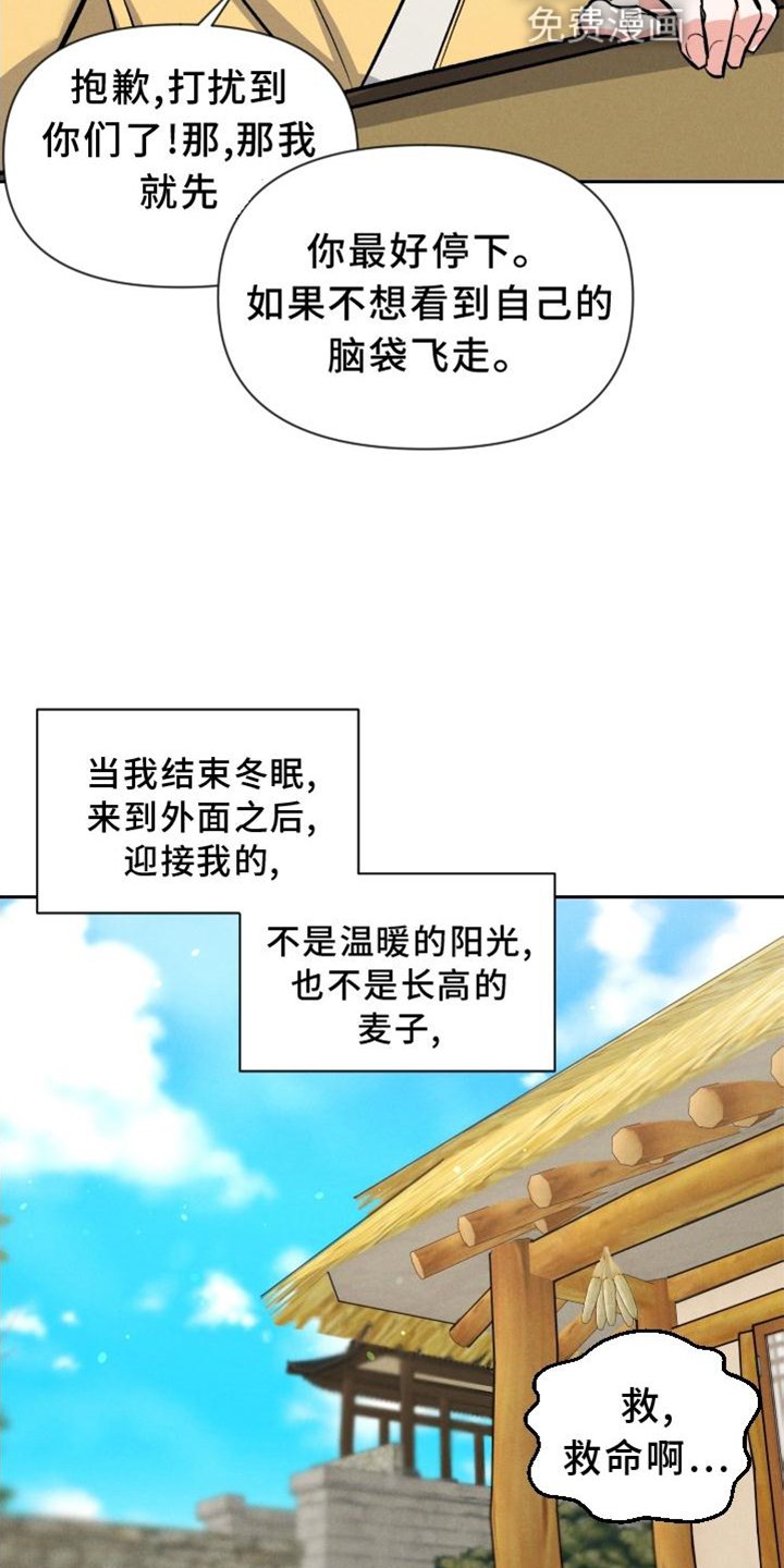 第33章：兔子【特别篇】