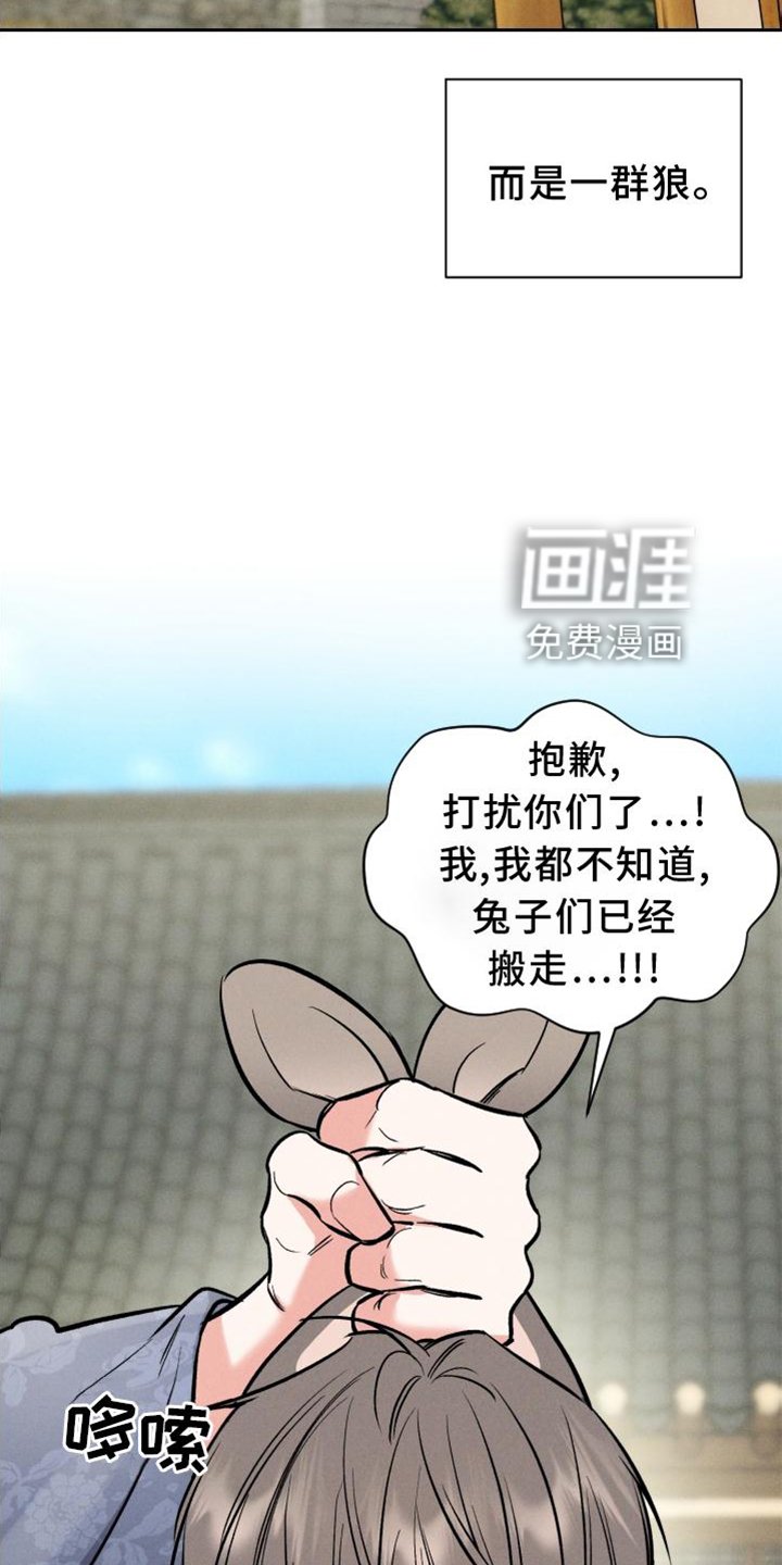 第33章：兔子【特别篇】