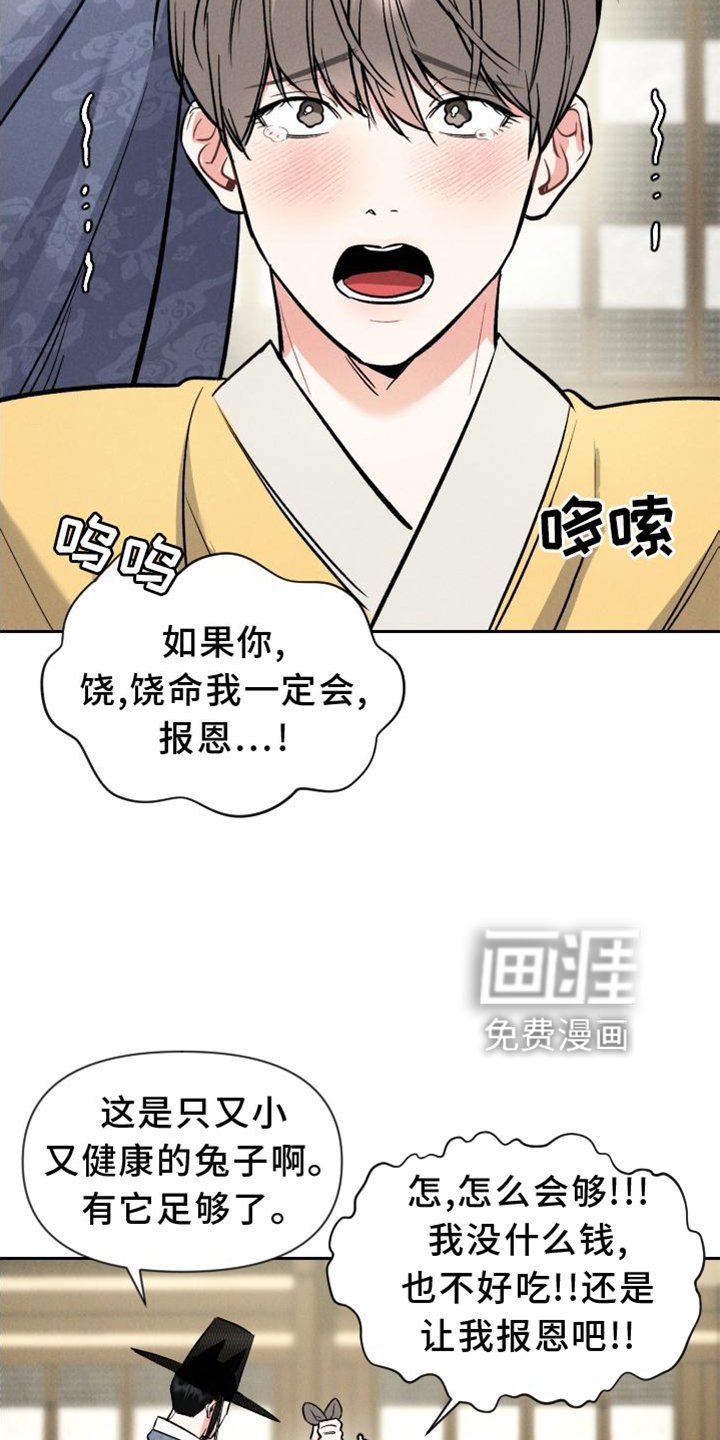 第33章：兔子【特别篇】