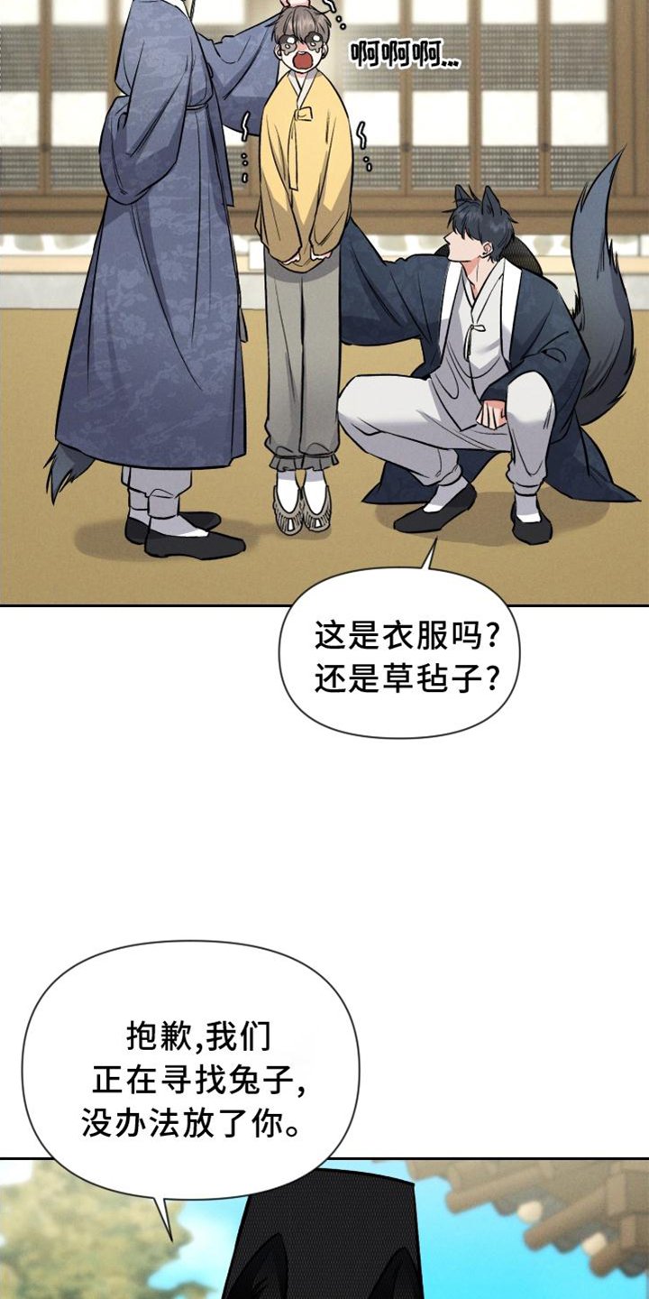 第33章：兔子【特别篇】
