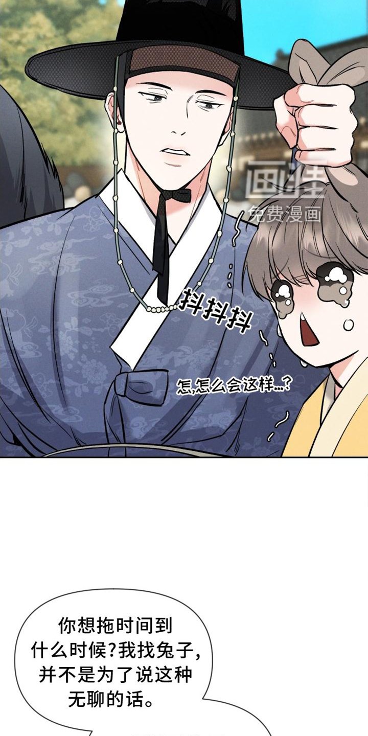 第33章：兔子【特别篇】