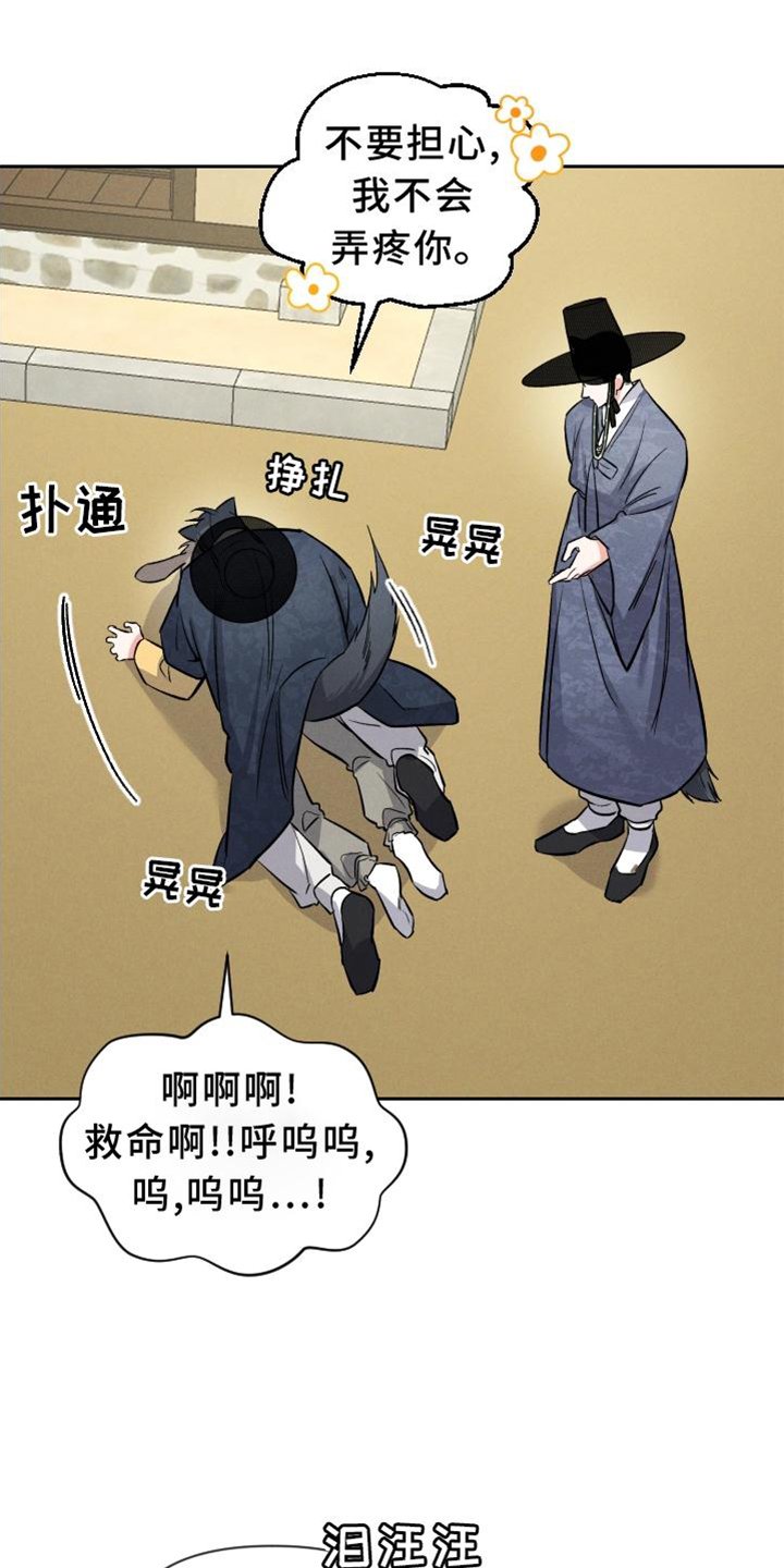 第33章：兔子【特别篇】
