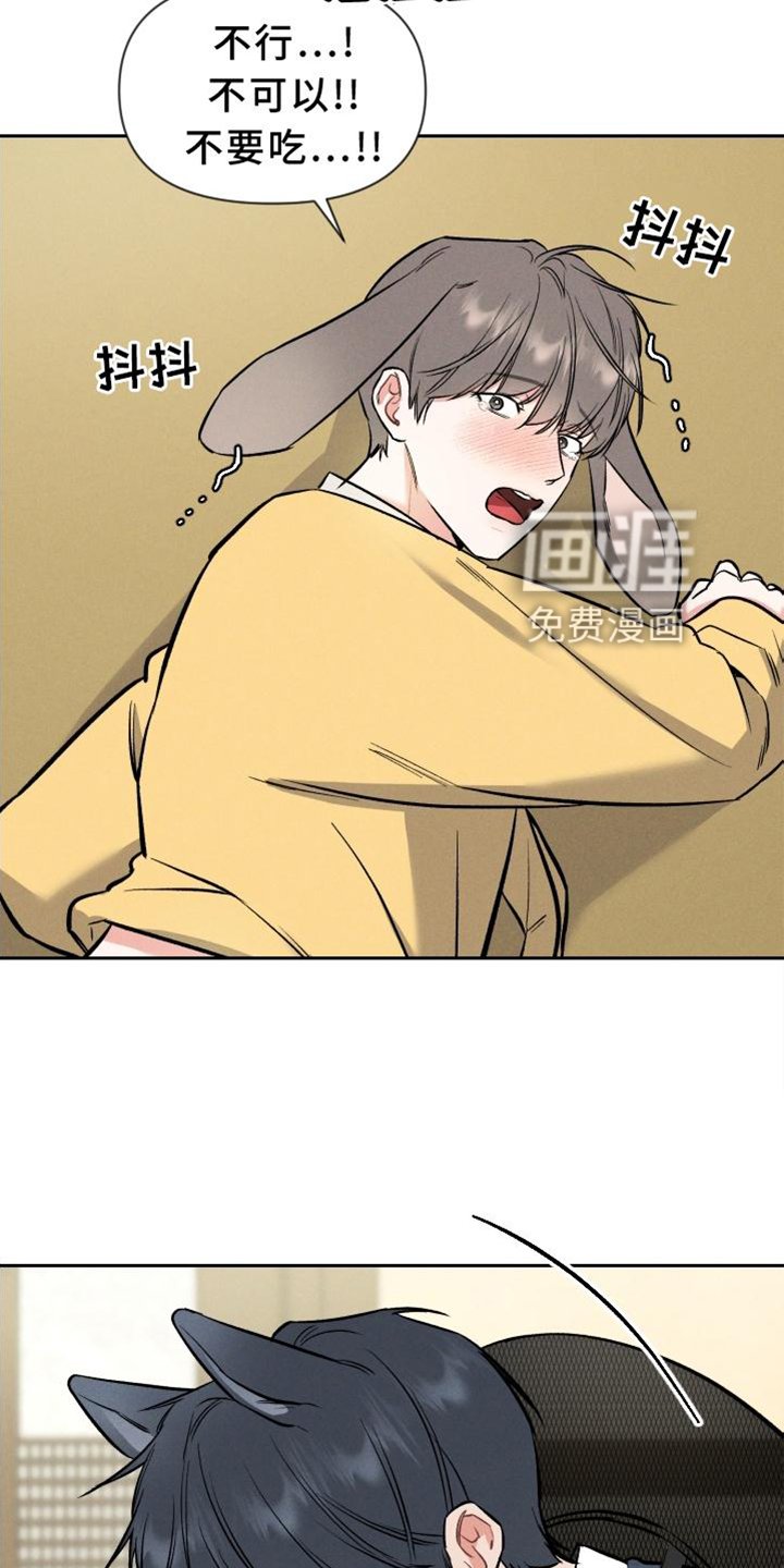 第33章：兔子【特别篇】