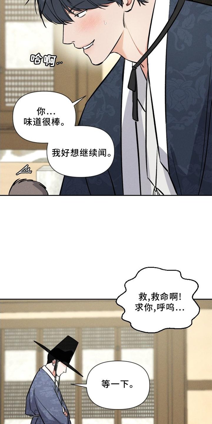第33章：兔子【特别篇】