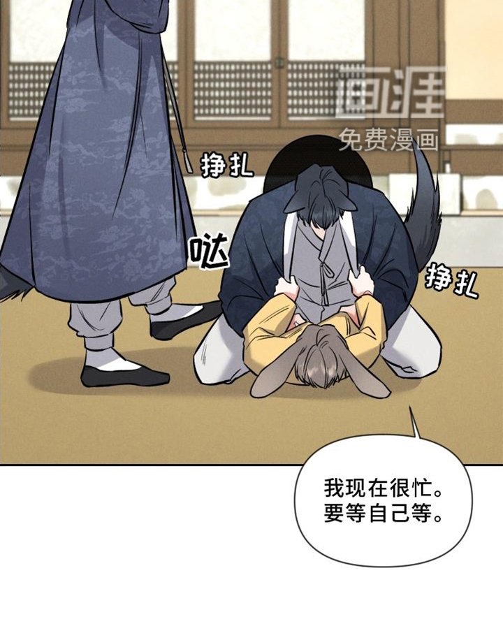 第33章：兔子【特别篇】