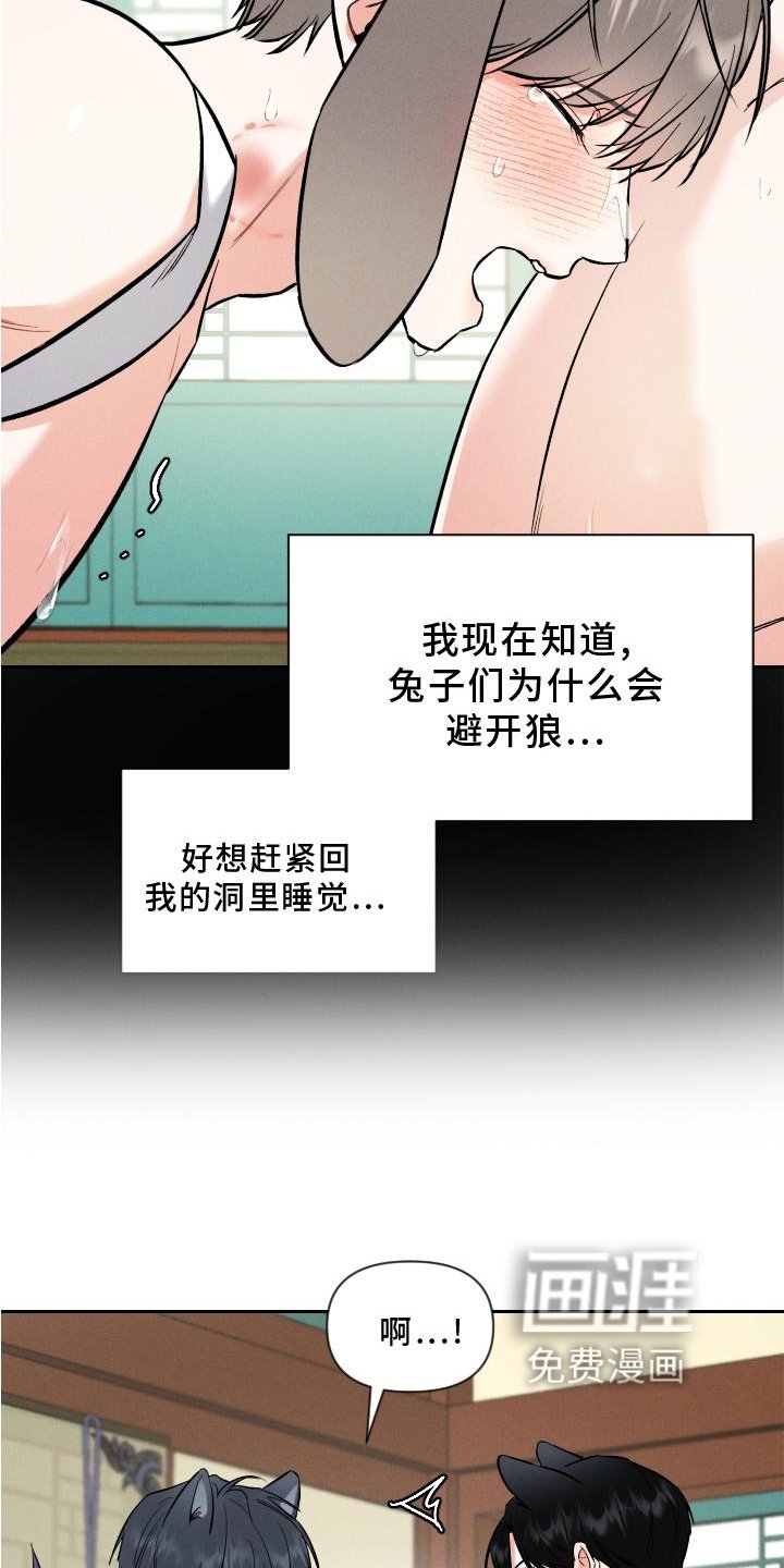 第34章：狼【特别篇】