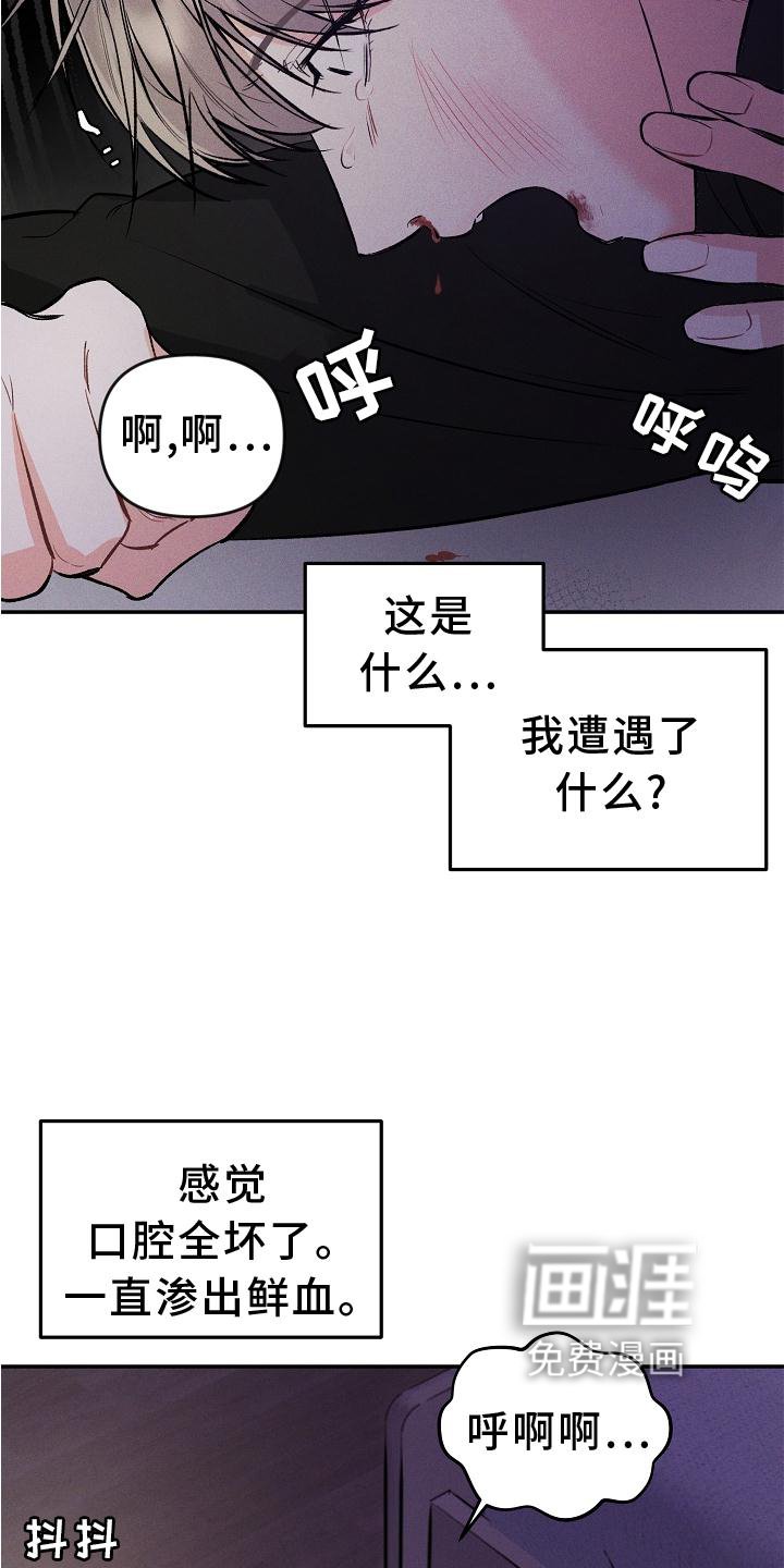 第35章：扭曲