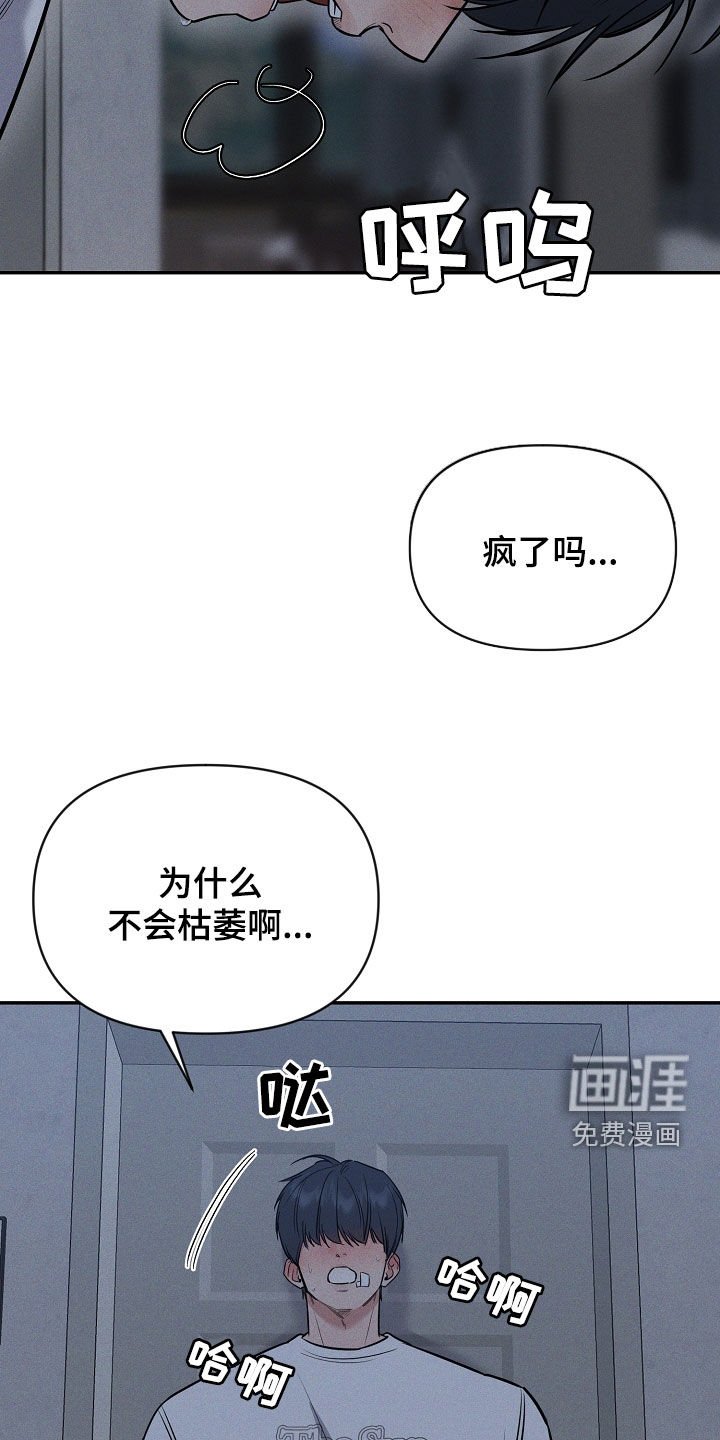 第51章：吞药