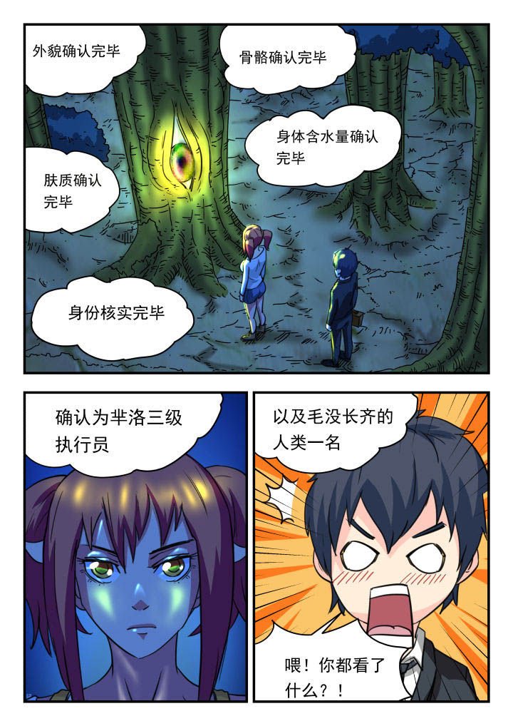 第10章：