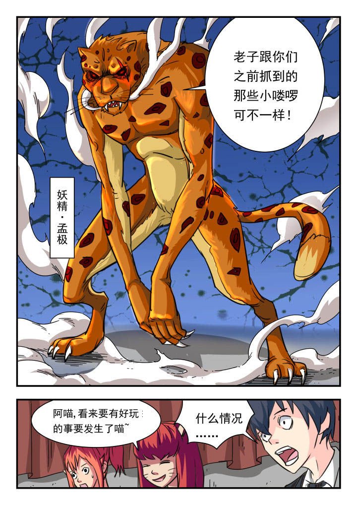 第13章：
