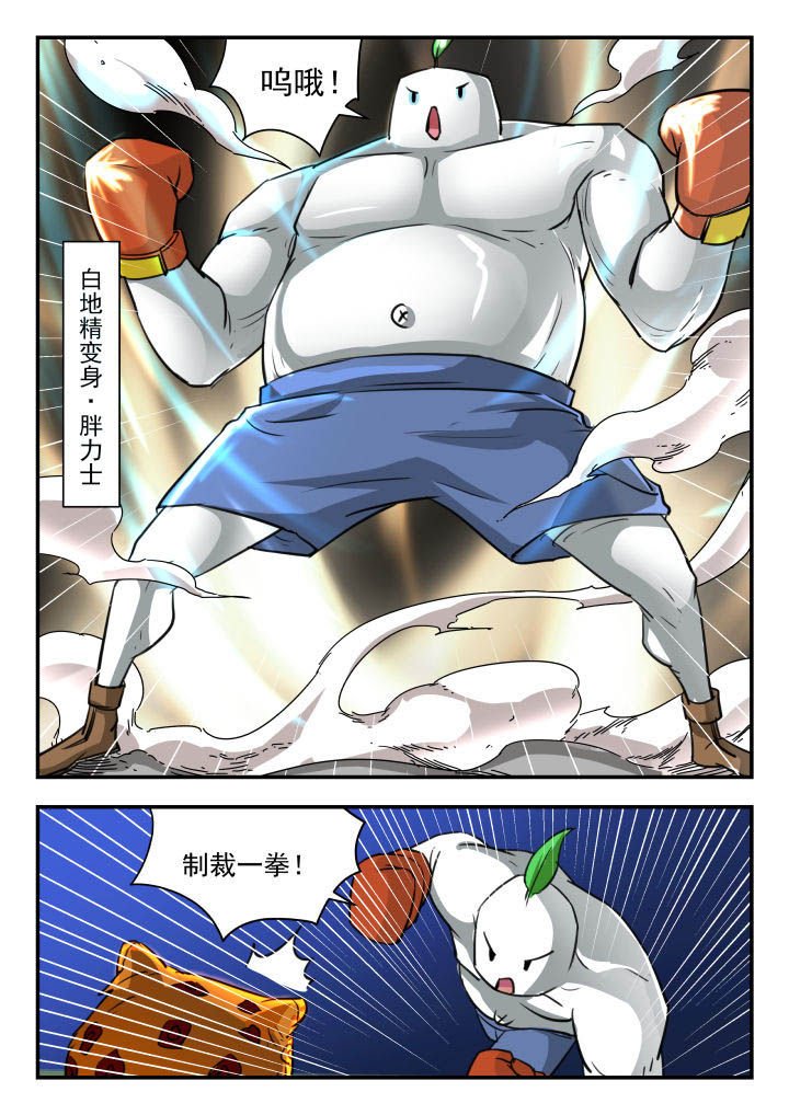 第13章：