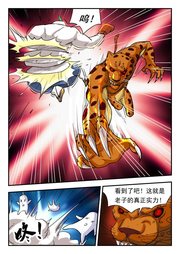 第13章：