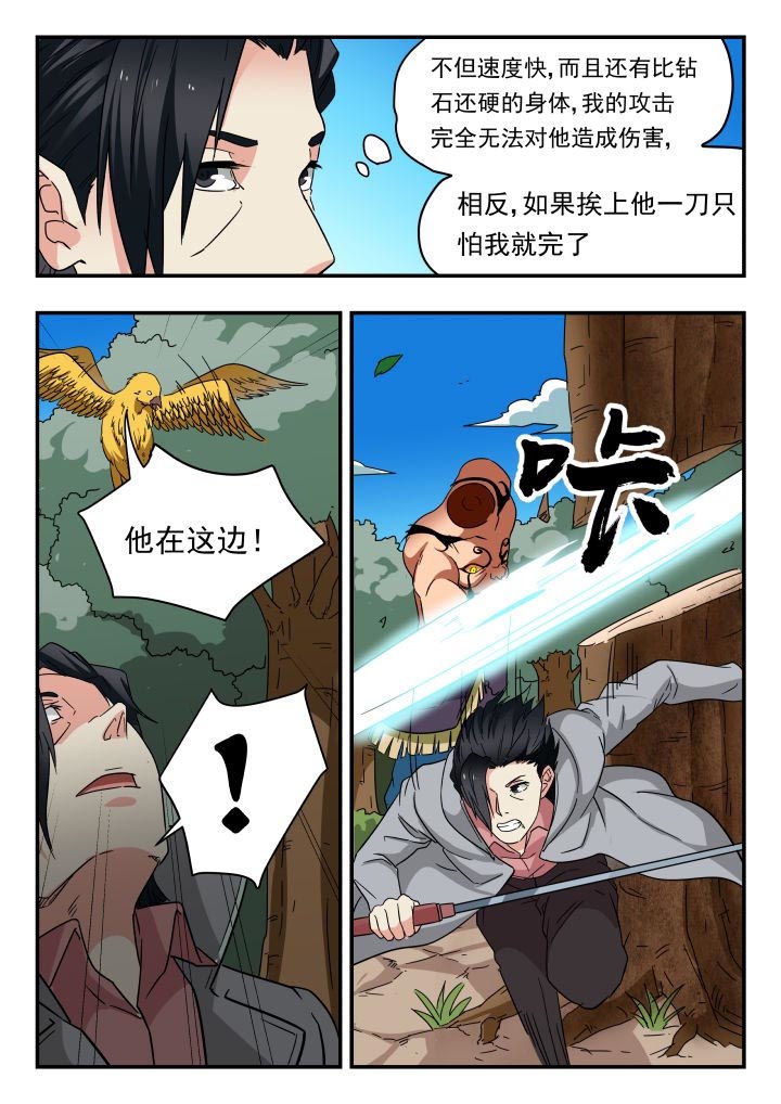 第204章：