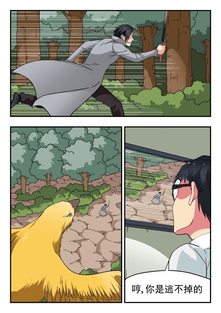 第204章：