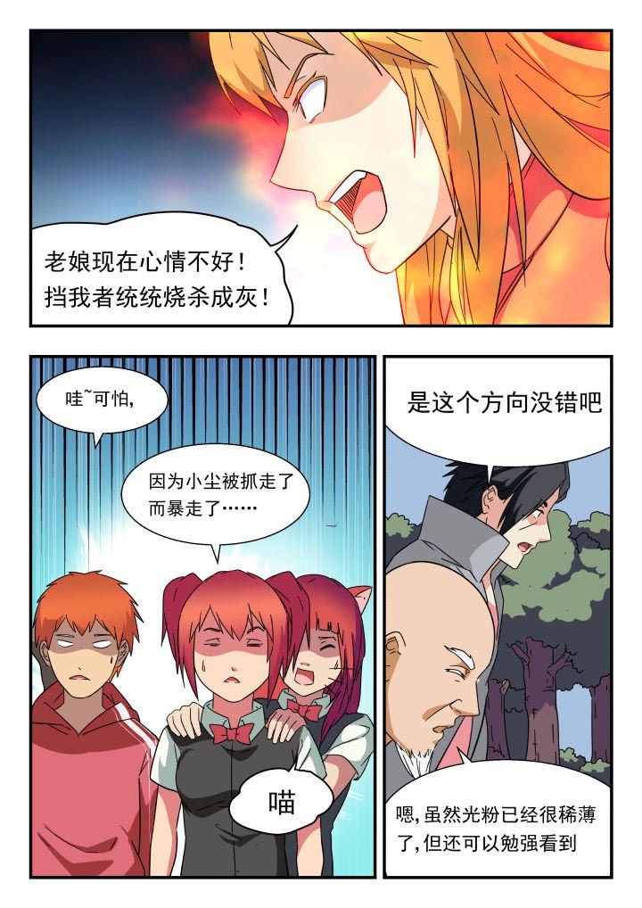 第217章：