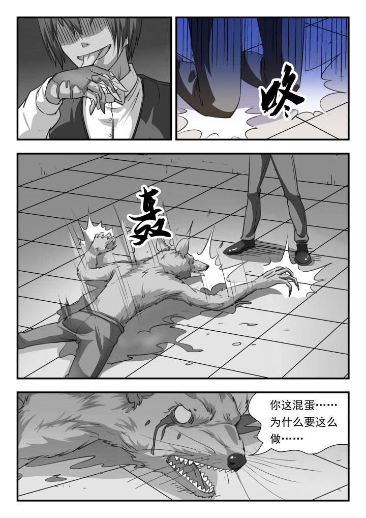 第40章：