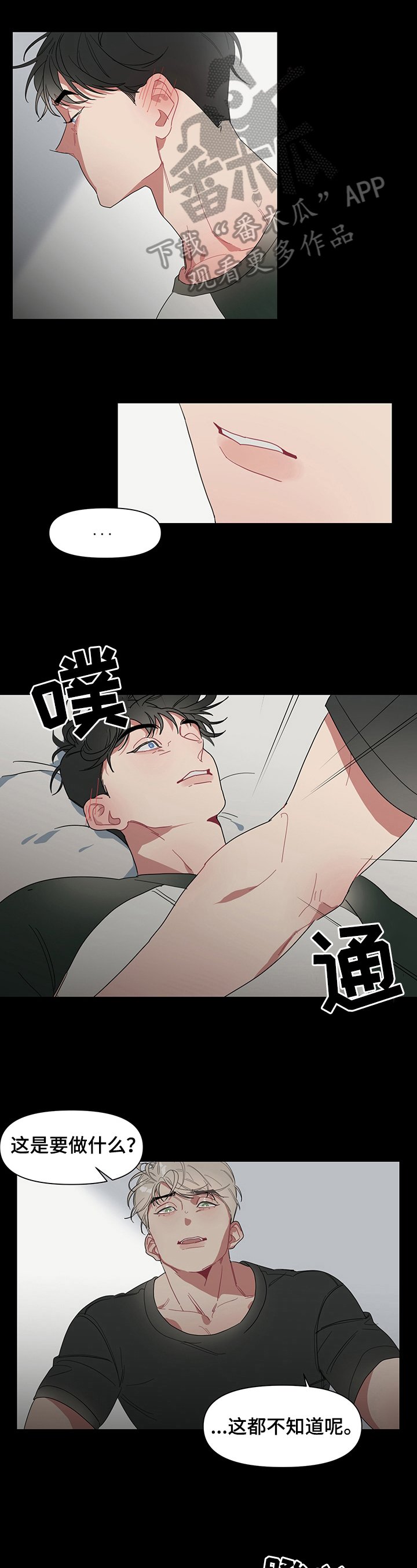 第3章：带刺的玫瑰