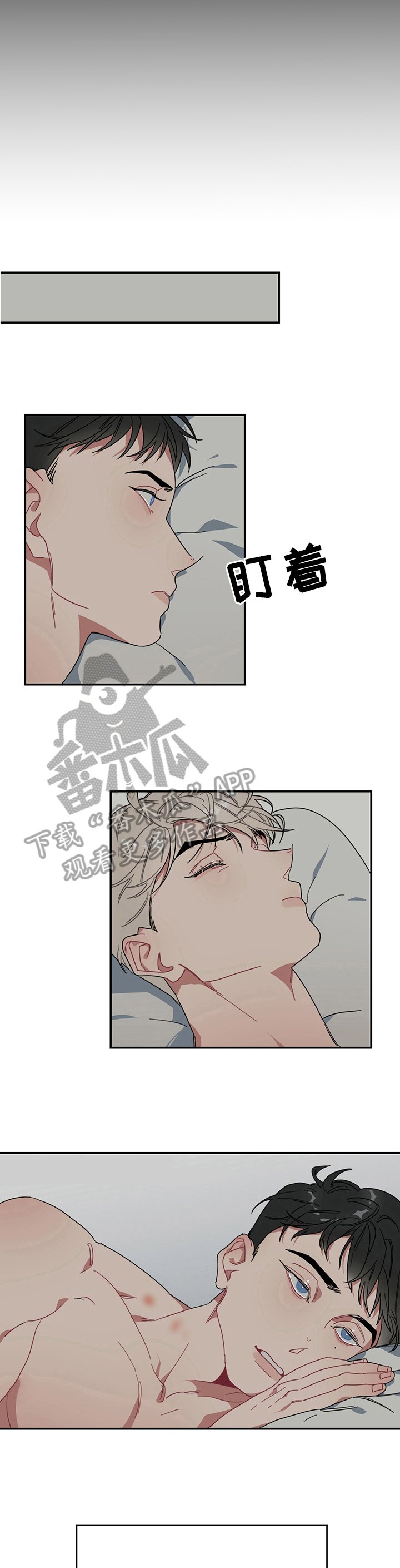 第3章：带刺的玫瑰