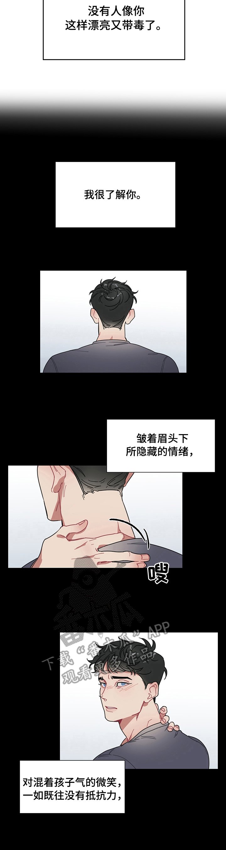 第3章：带刺的玫瑰