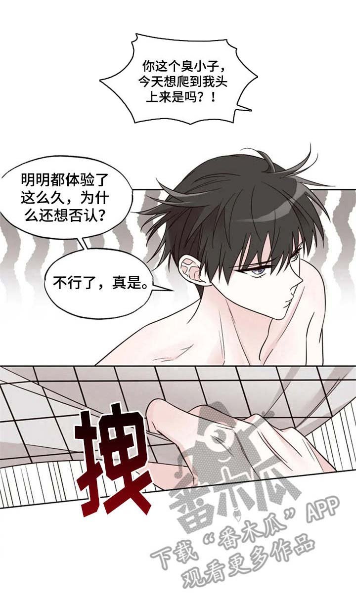 第14章：提议