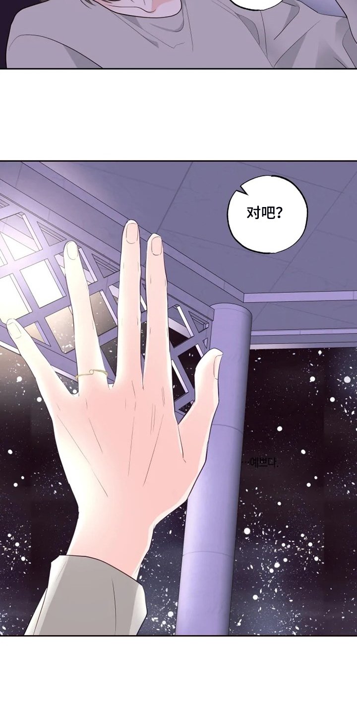第52章：生日快乐