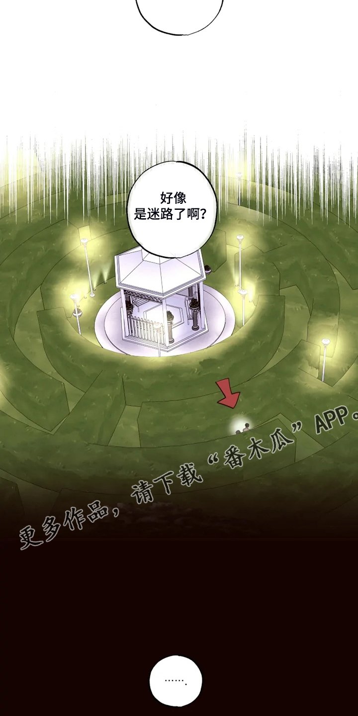 第53章：迷路了