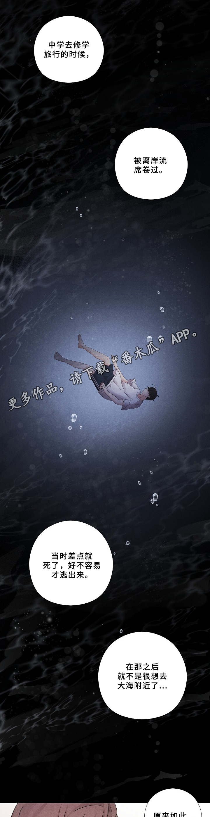 第13章：提议