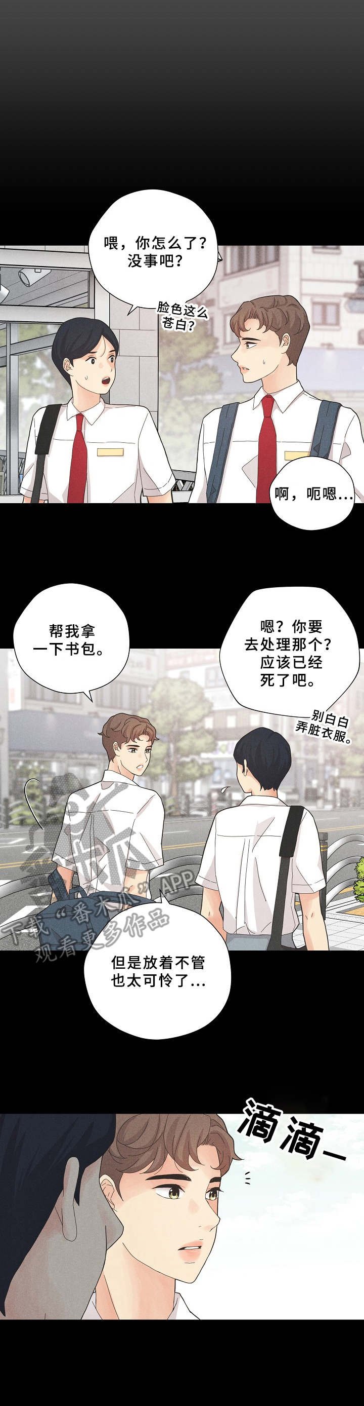第6章：让人好奇