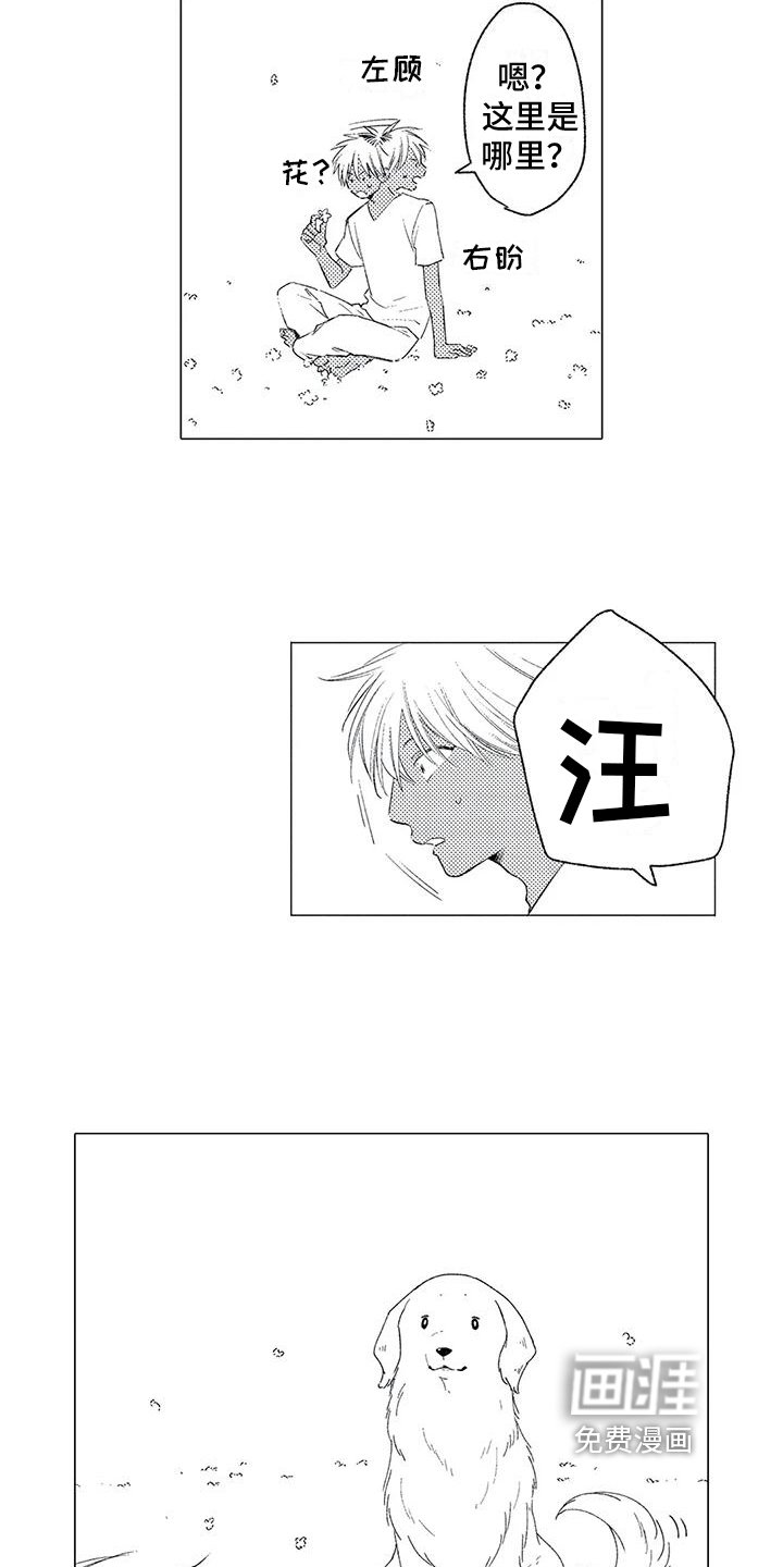 第12章：后悔