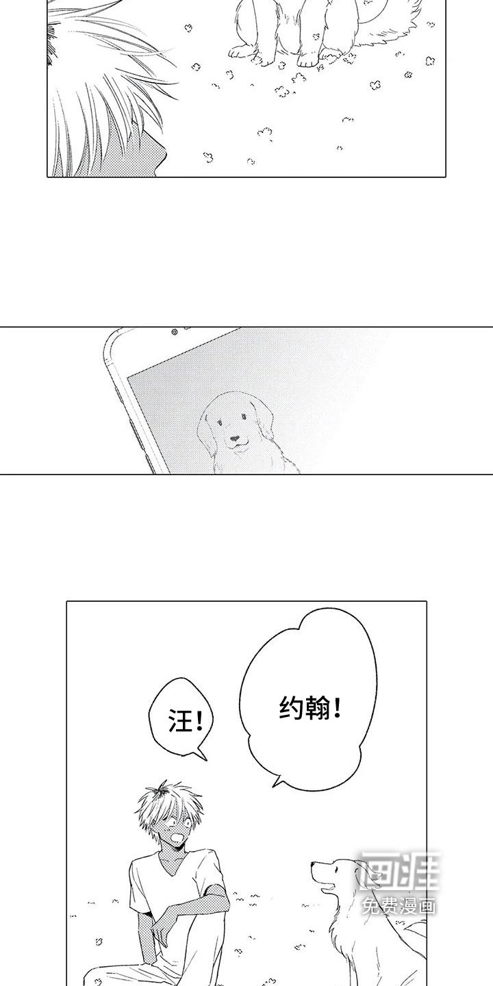 第12章：后悔