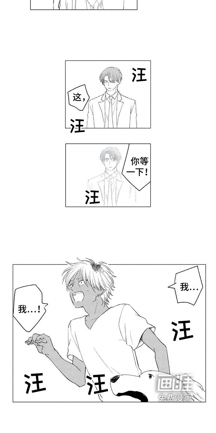 第13章：同意