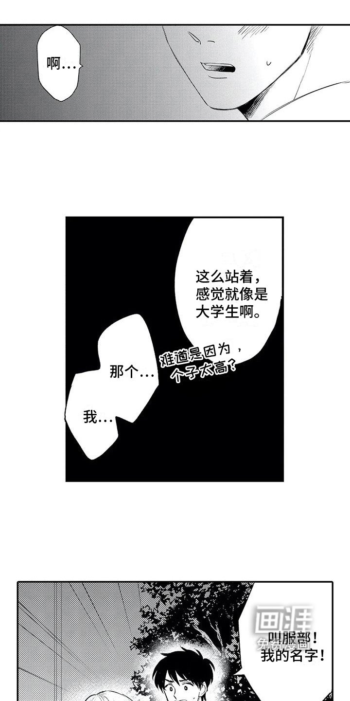 第20章：展现