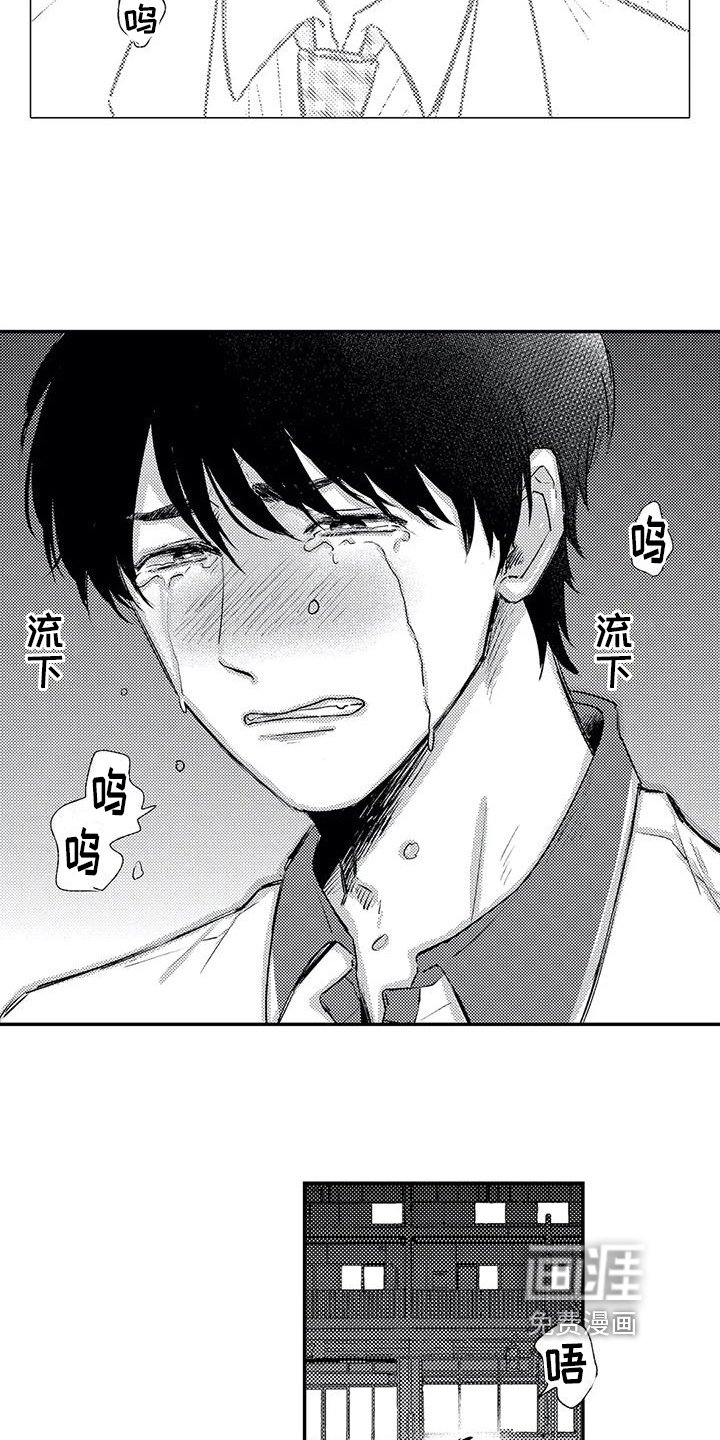 第20章：展现
