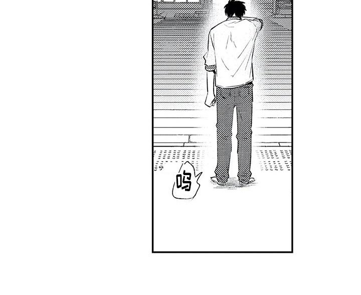 第20章：展现