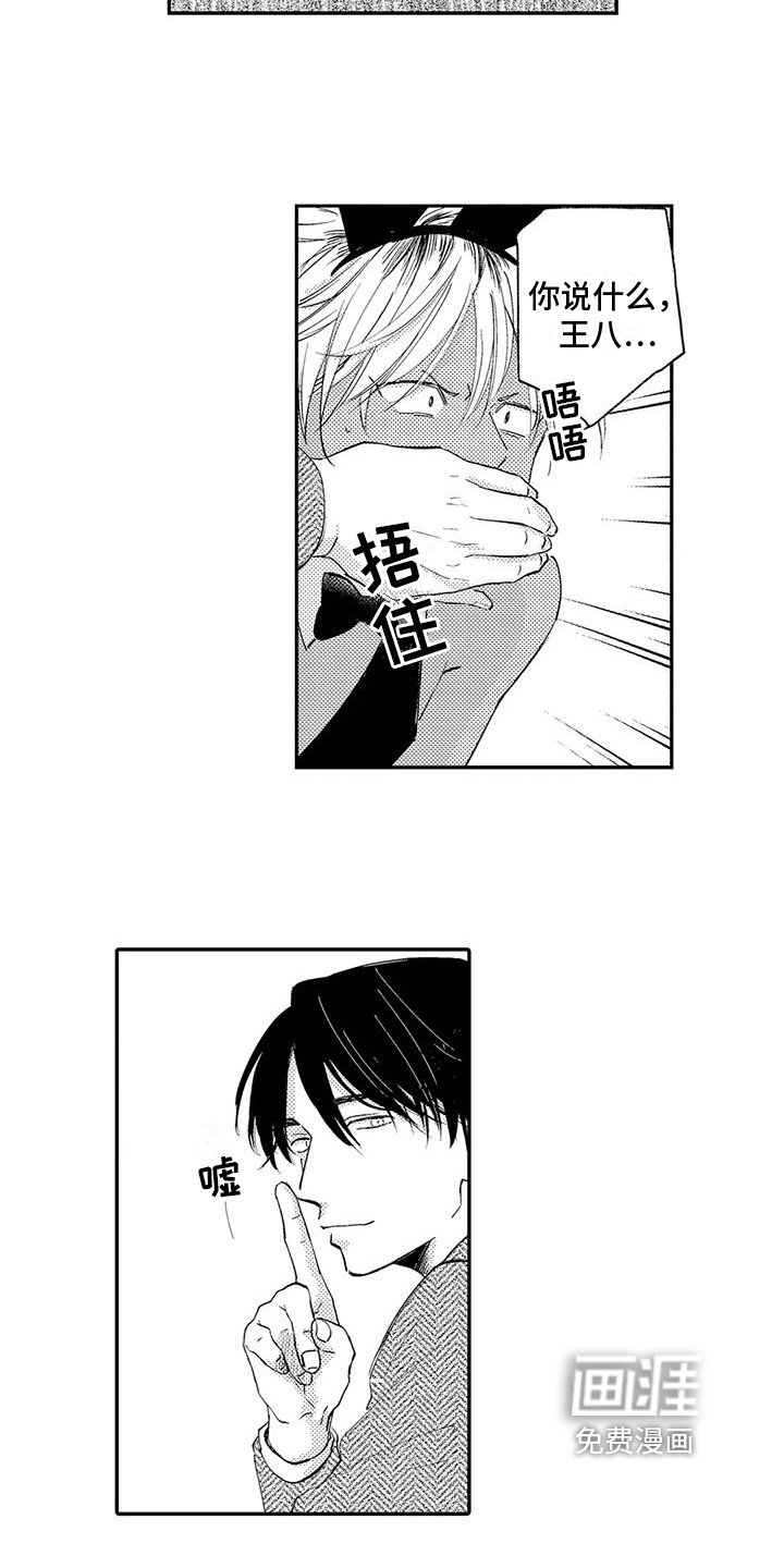 第5章：选择