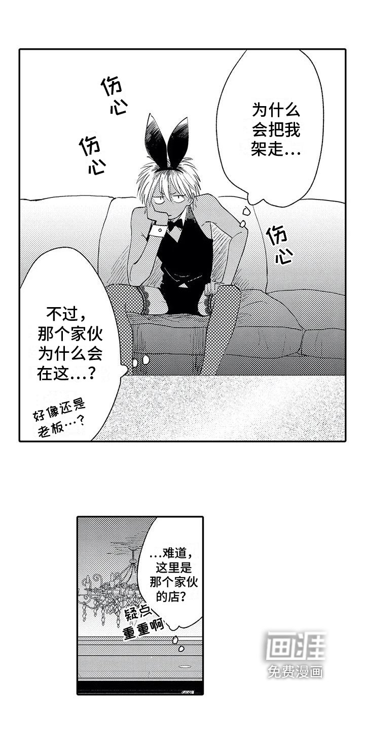 第5章：选择