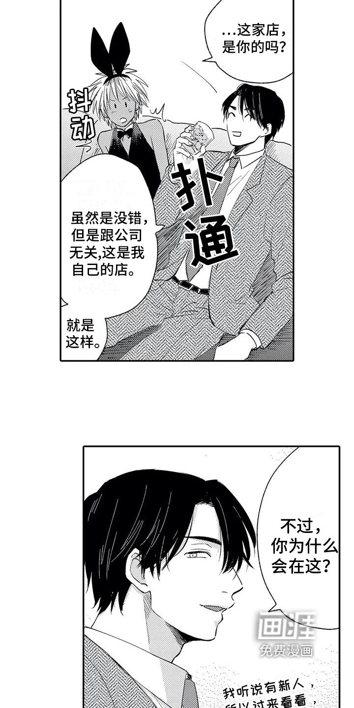 第5章：选择
