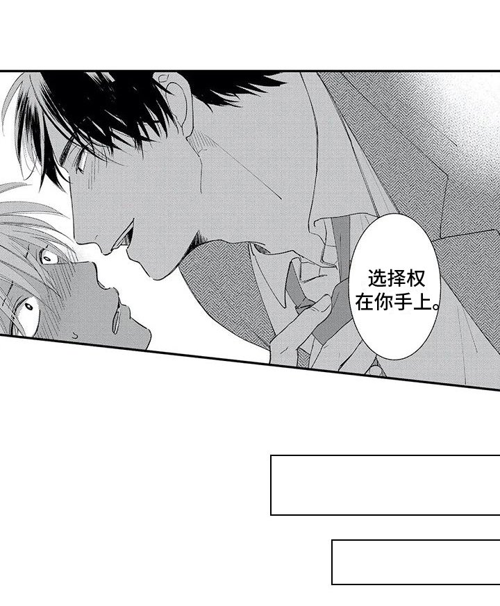 第5章：选择